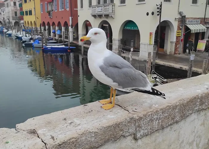 Ca' Dell'angelo 4* Chioggia