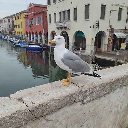Ca' Dell'angelo 3* Chioggia